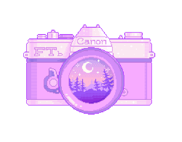 camera